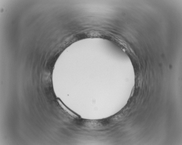 X0000088210521200706121808