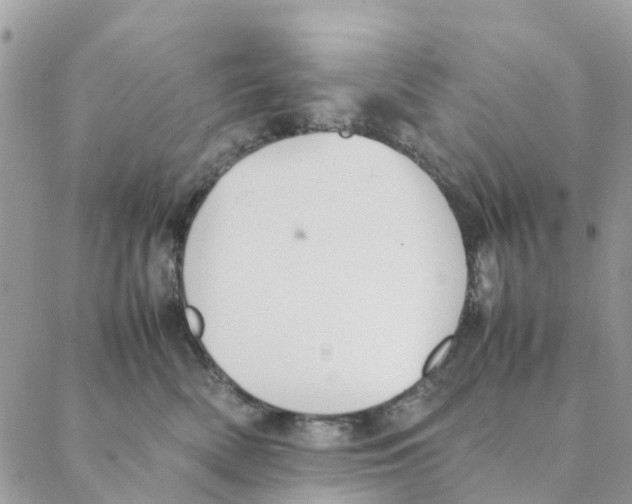 X0000088210522200706121808