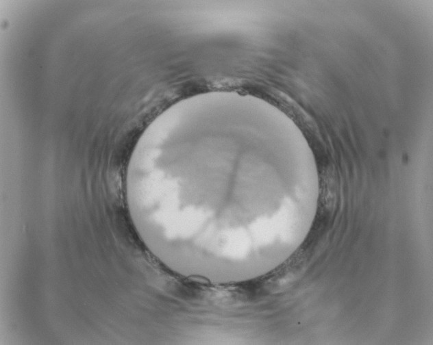 X0000088210523200706121808