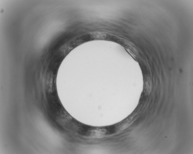 X0000088210525200706121808