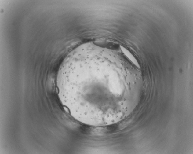 X0000088210527200706121808