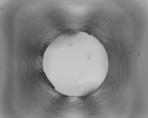 X0000088210528200706121808