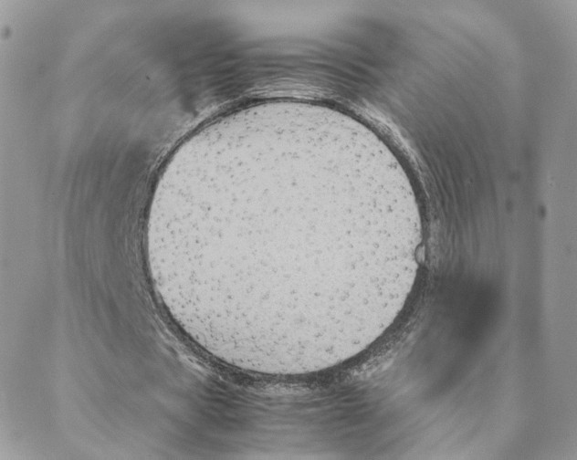 X0000088210529200706121807