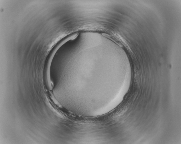 X0000088210530200706121807