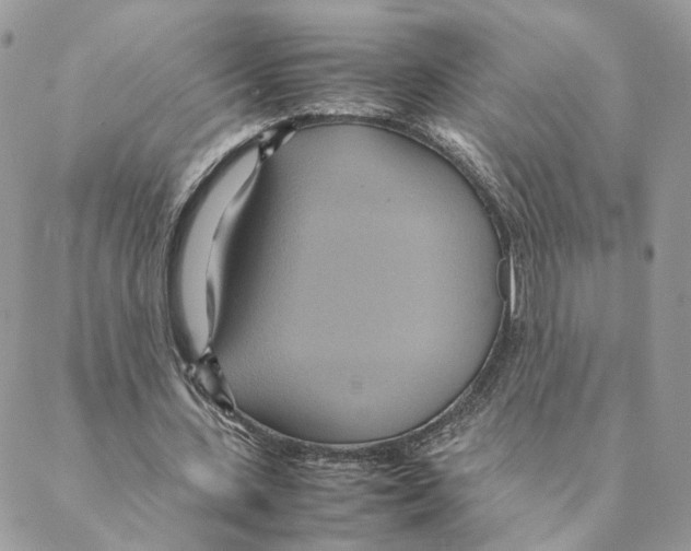 X0000088210531200706121808