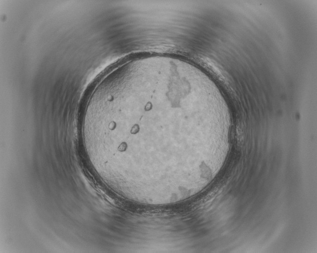 X0000088210532200706121808