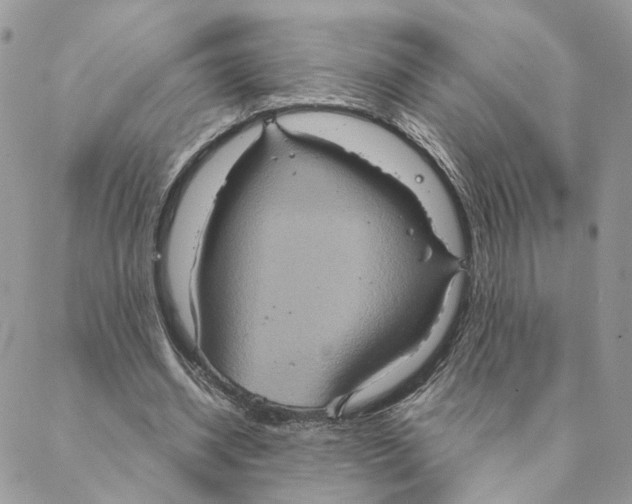 X0000088210534200706121808