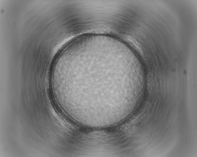 X0000088210536200706121808