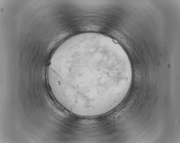 X0000088210537200706121808