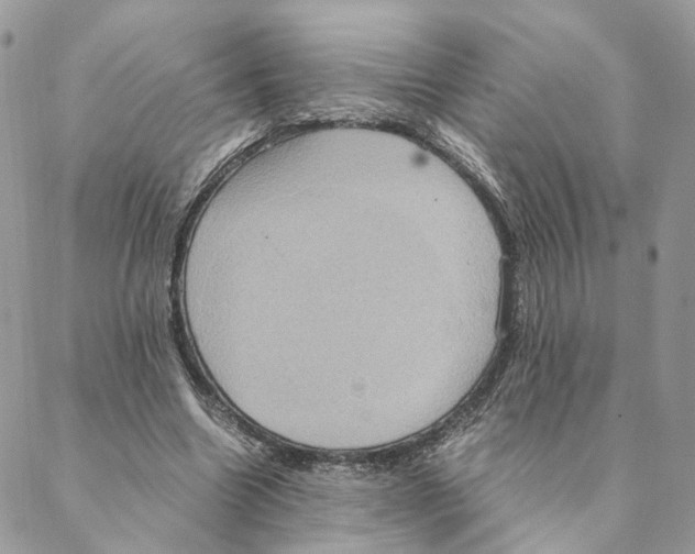 X0000088210538200706121808