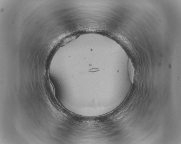 X0000088210540200706121808