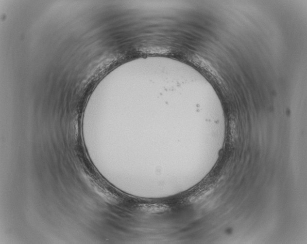 X0000088210541200706121808