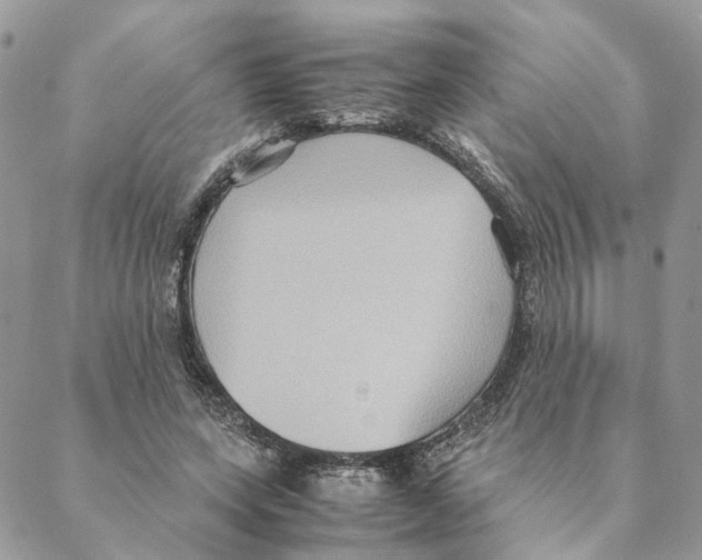 X0000088210543200706121808