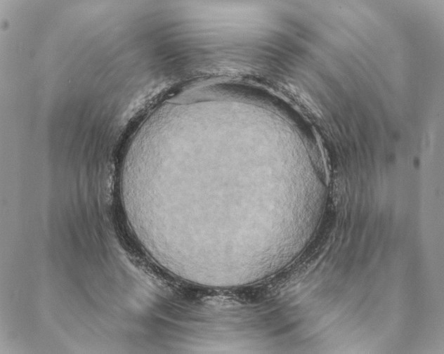 X0000088210544200706121808