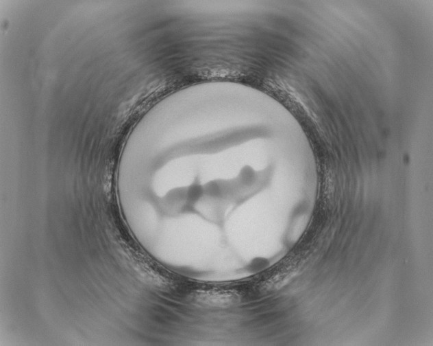 X0000088210545200706121808