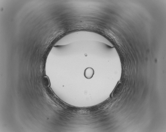 X0000088210546200706121808