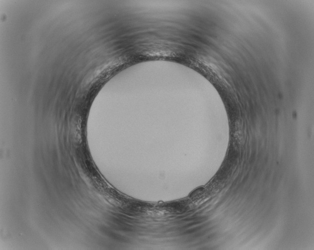 X0000088210547200706121808