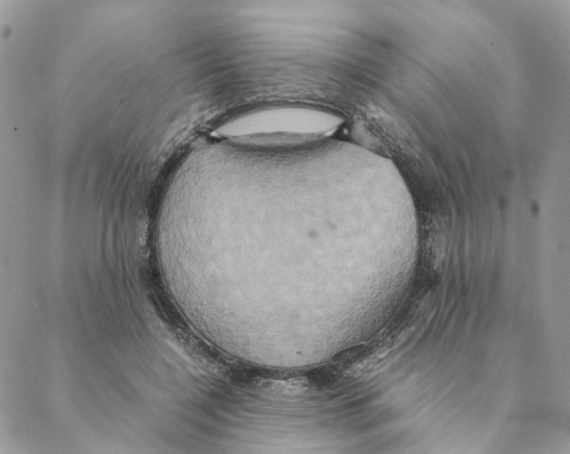 X0000088210548200706121808