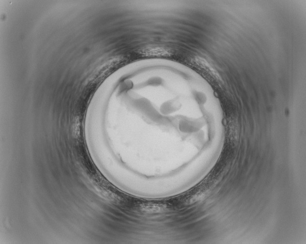 X0000088210549200706121808