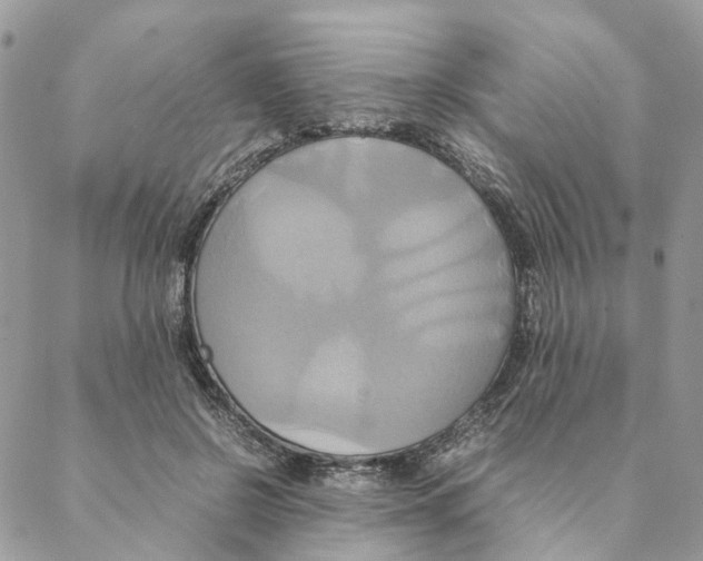 X0000088210550200706121808