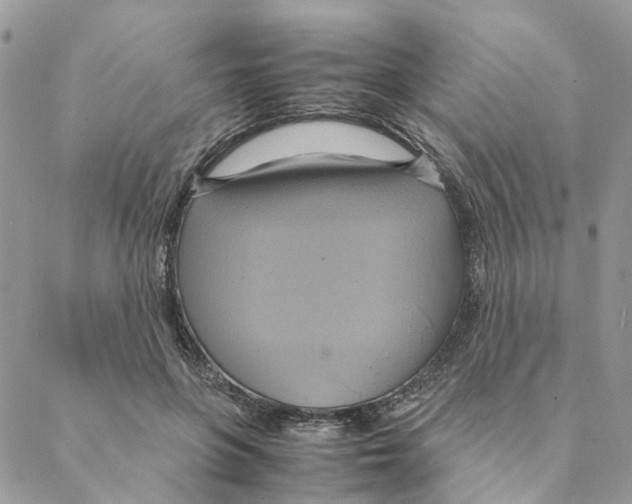 X0000088210551200706121808