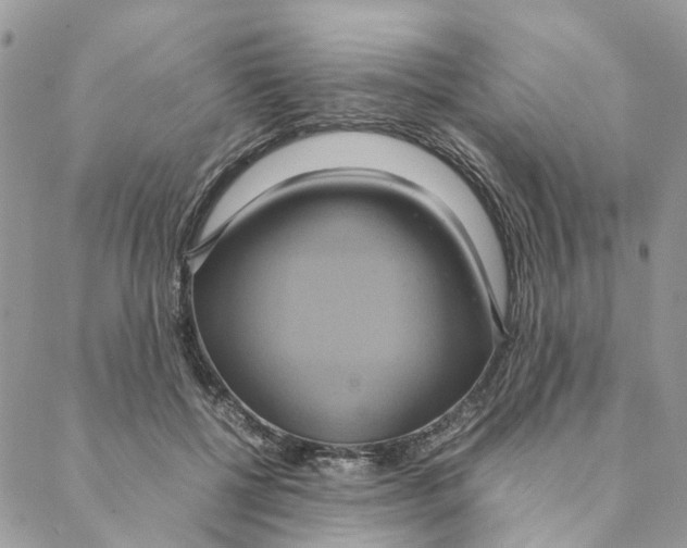 X0000088210552200706121808