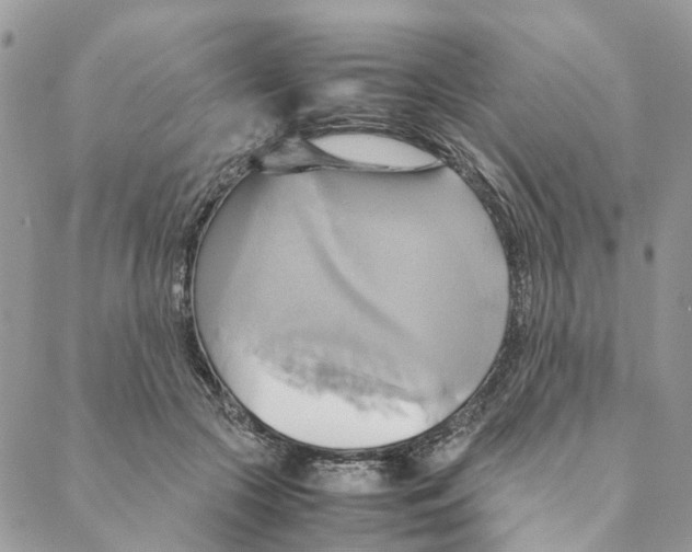 X0000088210553200706121808