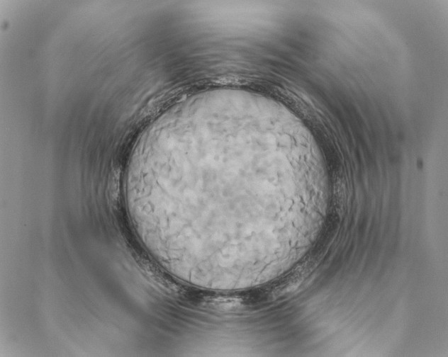 X0000088210554200706121808