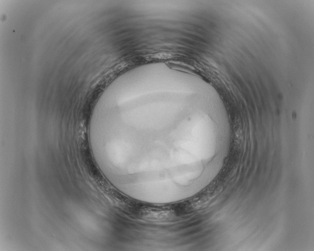 X0000088210555200706121808