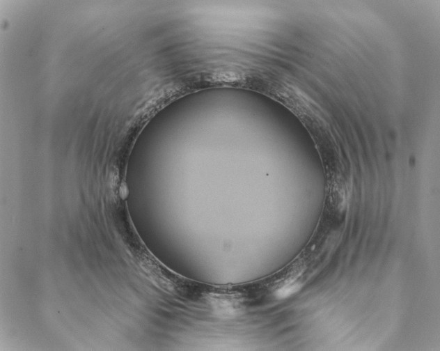 X0000088210556200706121808