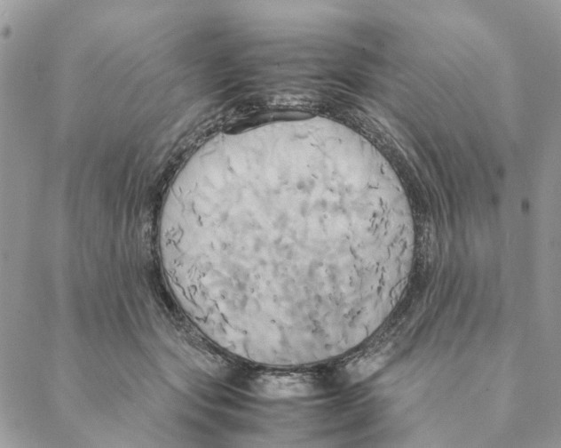 X0000088210557200706121808