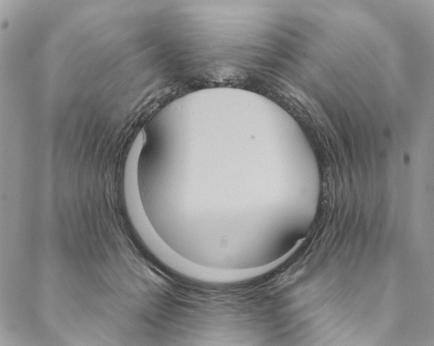 X0000088210558200706121808