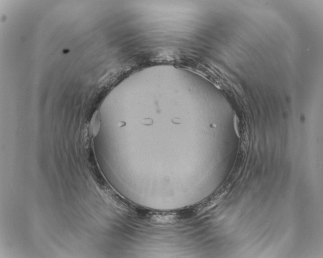 X0000088210560200706121808