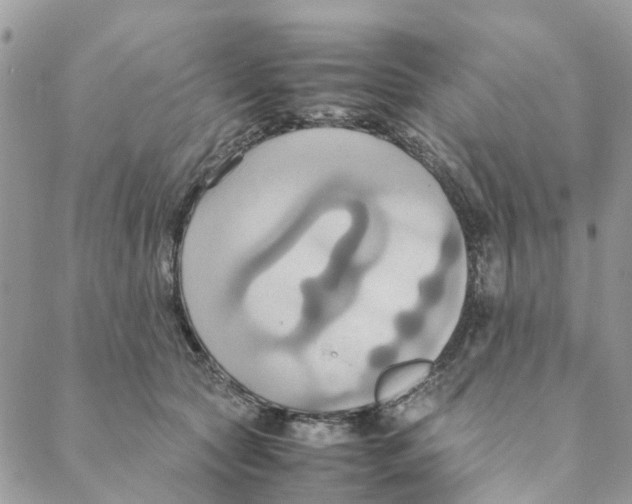 X0000088210561200706121808