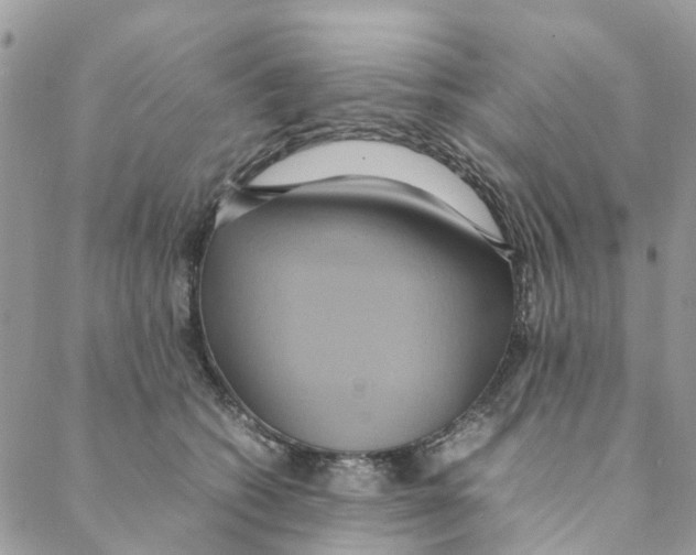 X0000088210562200706121808