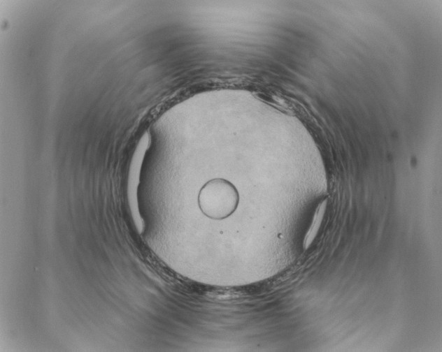 X0000088210564200706121808