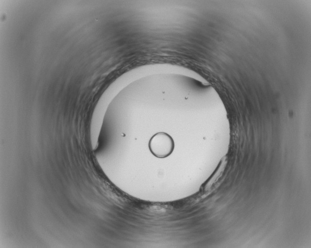 X0000088210566200706121808