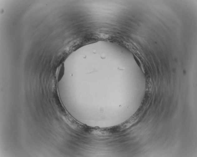 X0000088210568200706121808