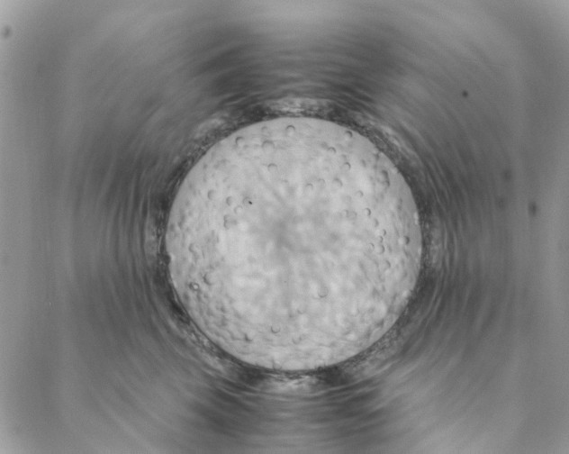 X0000088210569200706121808