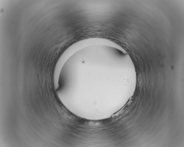 X0000088210570200706121808