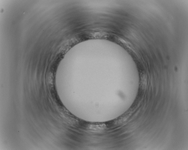 X0000088210571200706121808