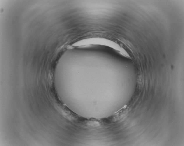 X0000088210572200706121808