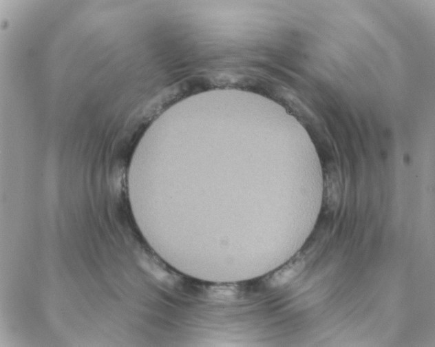 X0000088210574200706121808