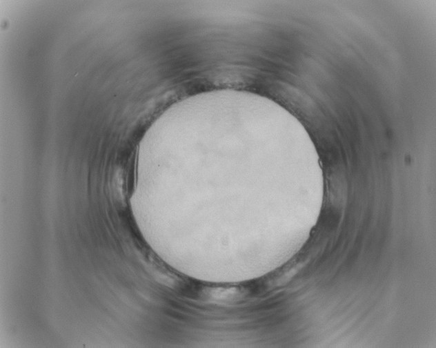 X0000088210575200706121808