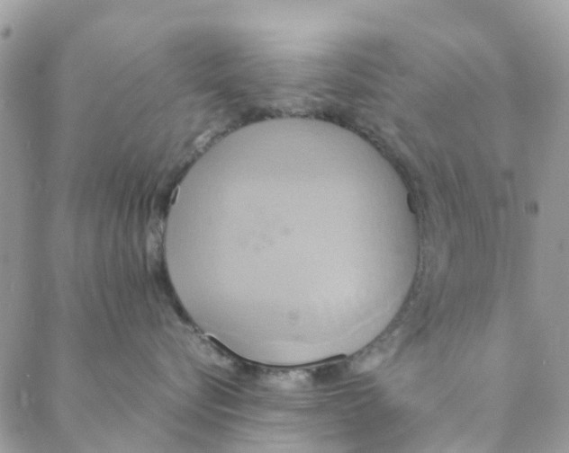 X0000088210576200706121808