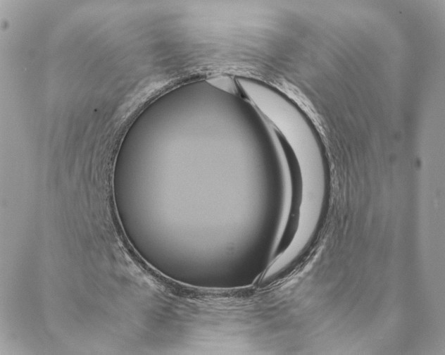 X0000088210577200706121807