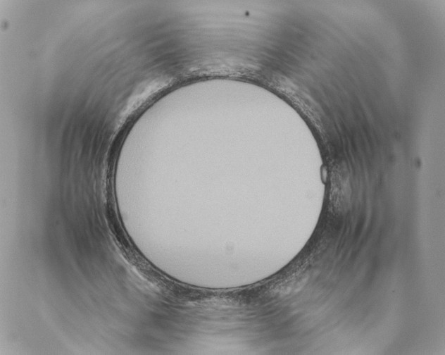 X0000088210578200706121807