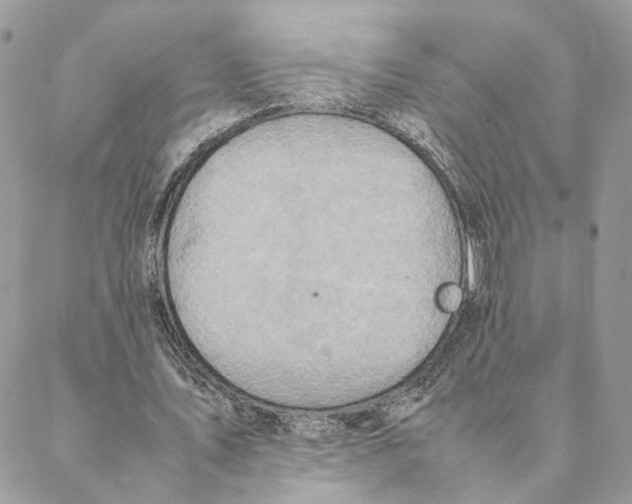 X0000088210579200706121807