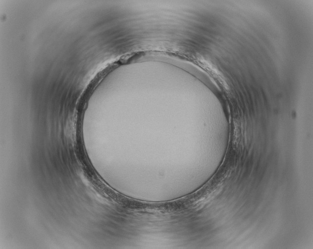 X0000088210580200706121807