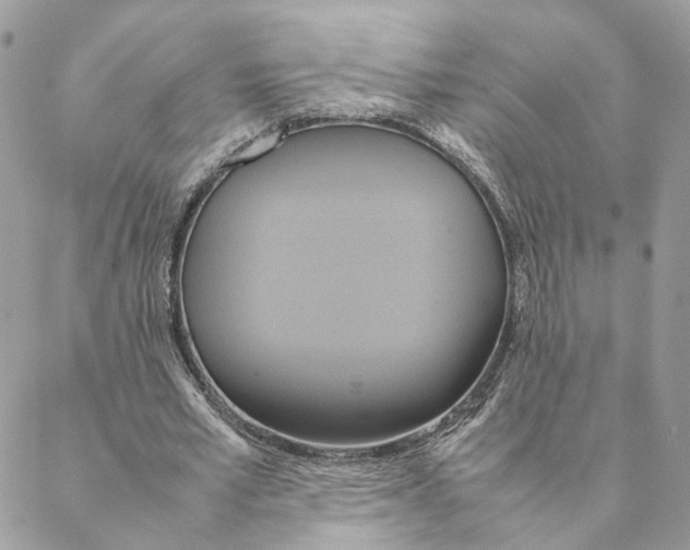 X0000088210581200706121807